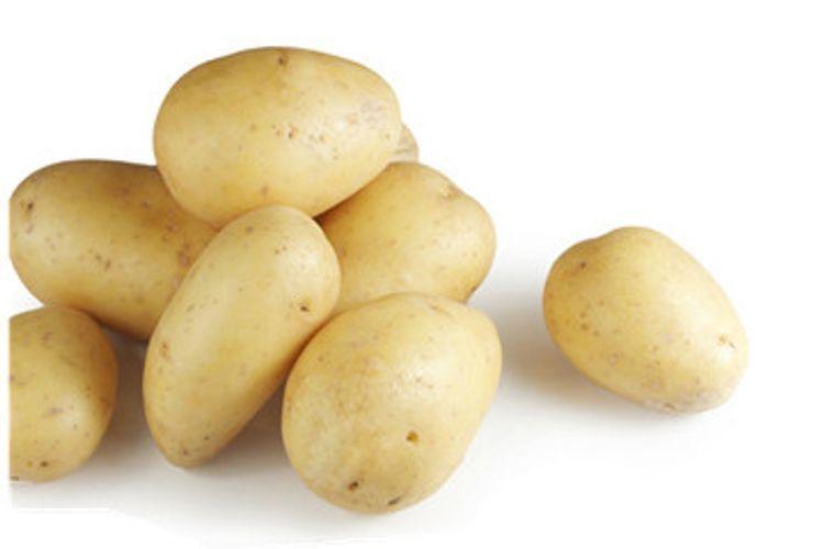 White Potato